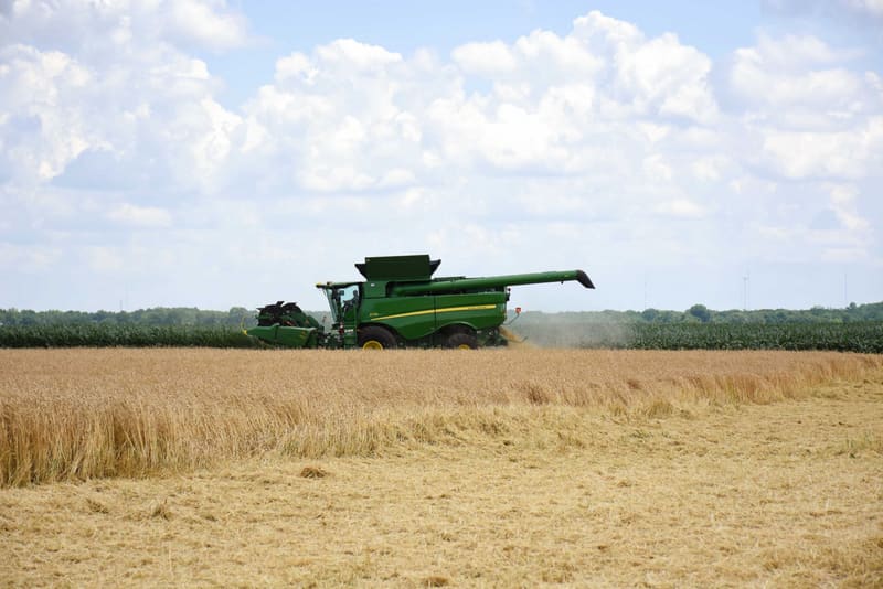 A combine harvester cutting a field of ripe grain under a wide sky