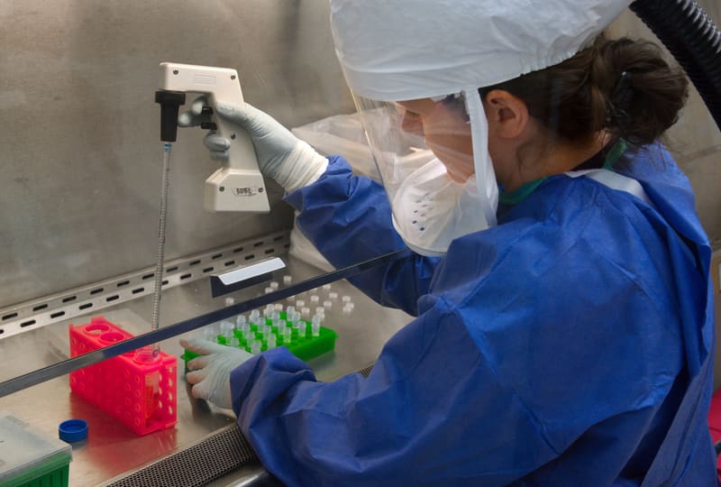A researcher in protective gloves handling samples in a laboratory